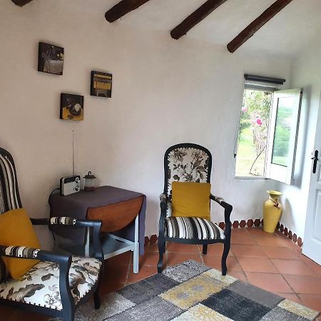 Le Clos D'Almide Monestier  Kültér fotó
