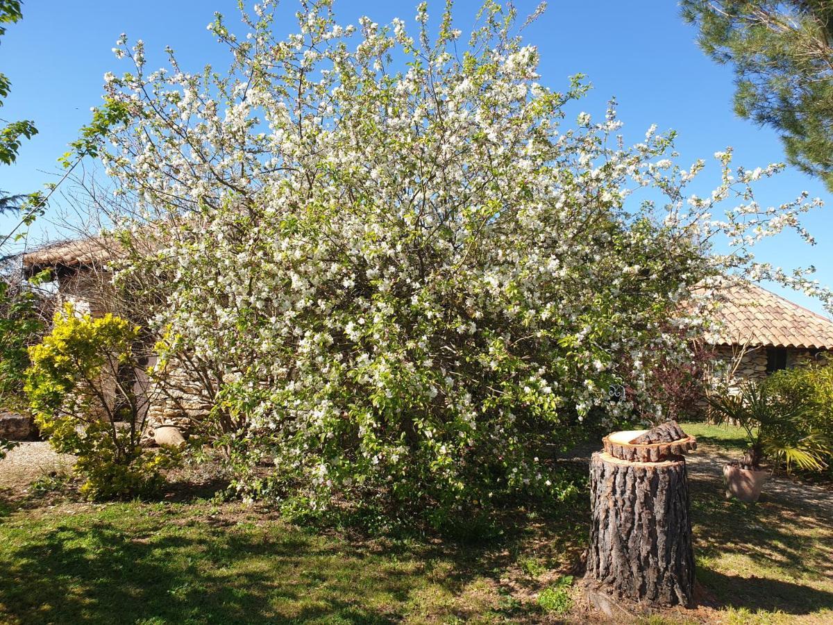 Le Clos D'Almide Monestier  Kültér fotó