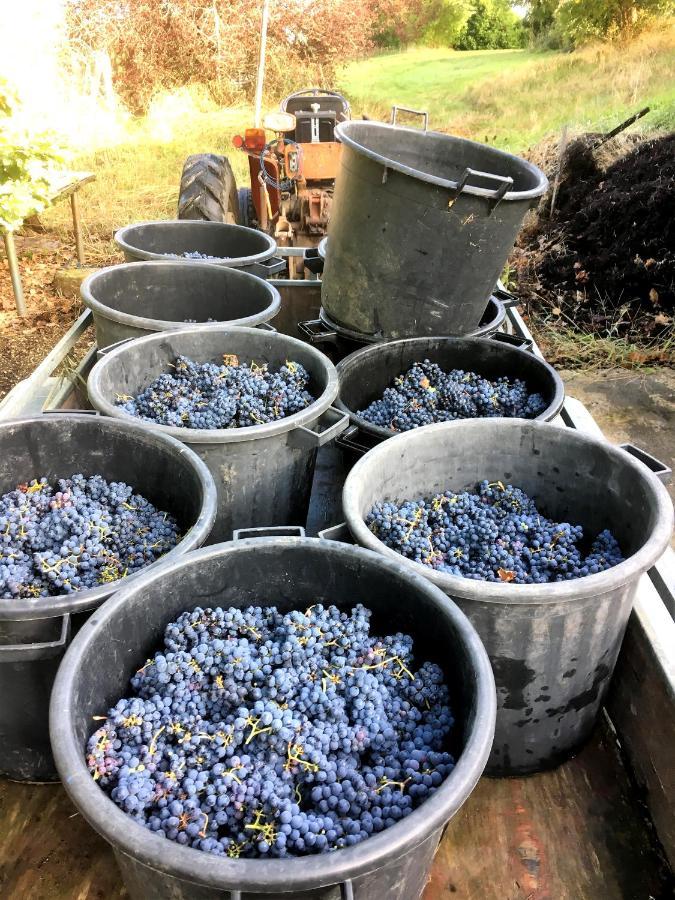Le Clos D'Almide Monestier  Kültér fotó