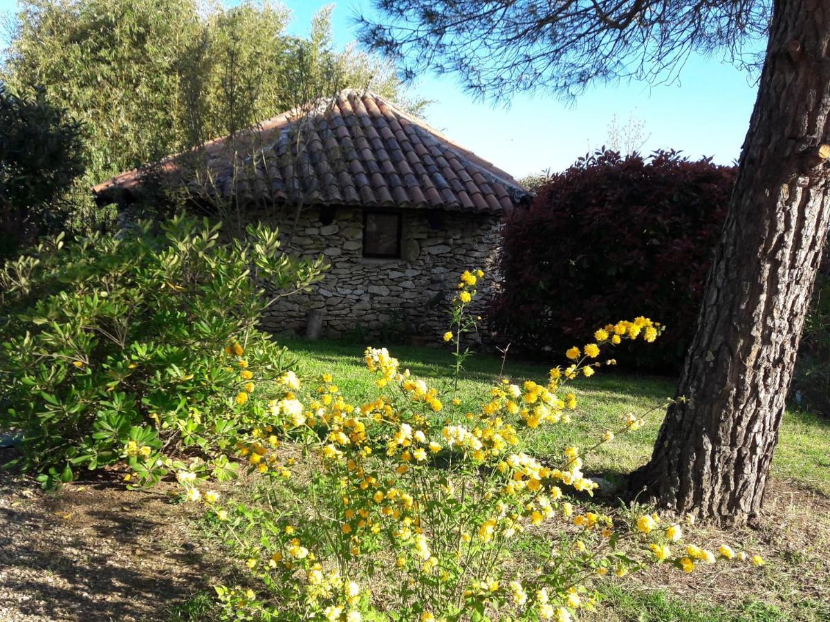 Le Clos D'Almide Monestier  Kültér fotó